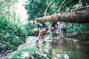 BIB: 
                            <button type="button" onclick="openModal(25449138)" class="btn btn-primary btn-sm float-right btn-popup" data-toggle="modal" data-target=".modal-high-quality">
                        <i class="fas fa-shopping-cart"></i> Add to Cart
                    </button>
                                            <button type="button" onclick="isThisMe(25449138, true)" class="btn btn-success btn-sm float-right btn-popup btn-isme hidden" data-toggle="tooltip" data-placement="bottom" title="นี่คือรูปของคุณใช่ไหม คลิกที่นี่เพื่อเอาเข้าอัลบั้ม">
                        <i class="fas fa-plus"></i> Add to album
                    </button>
                    <button type="button" onclick="isThisMe(25449138, false)" class="btn btn-warning btn-sm float-right btn-popup btn-isnotme hidden">
                        <i class="fas fa-ban"></i> Remove from album
                    </button>